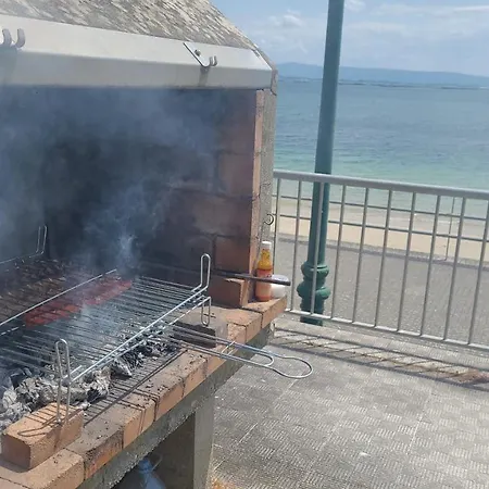 Palmeira * Рибейра