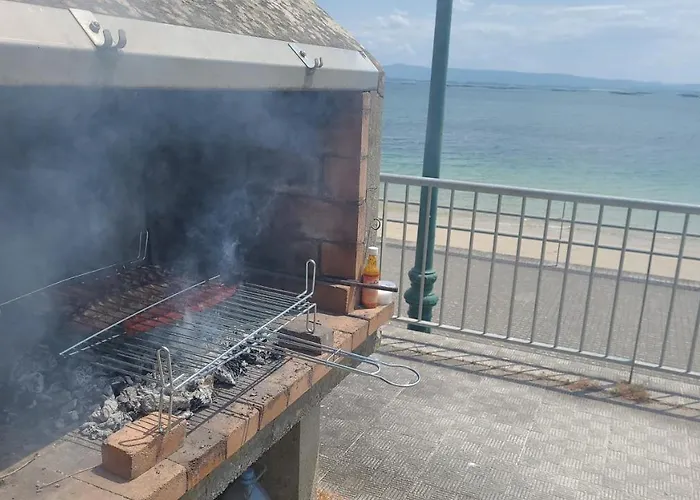 Palmeira * Рибейра